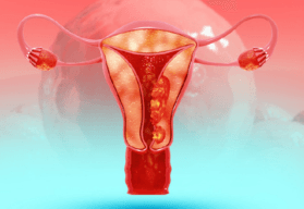 Updating Practice in Endometrial Cancer: Integrating Biomarker Assessments, Immunotherapy, and ADC Combinations in a Multidisciplinary Care Paradigm
