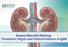 Beyond Watchful Waiting: Treatment Targets and Clinical Evidence in IgAN
